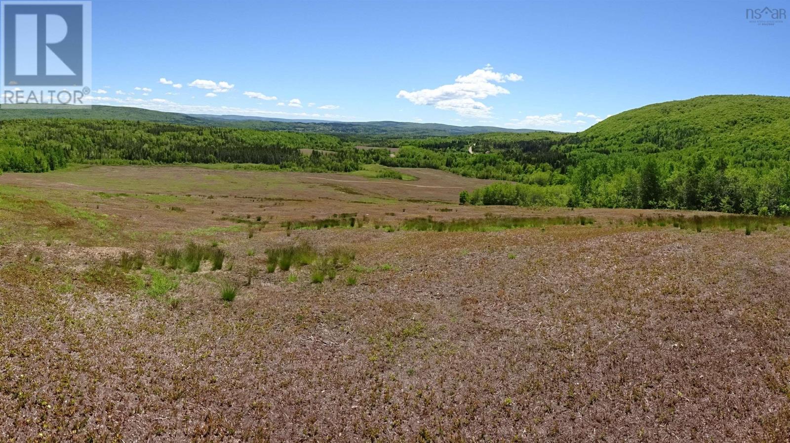 760 Foot Cape Road, Broad Cove Banks, Nova Scotia  B0E 1N0 - Photo 21 - 202503563