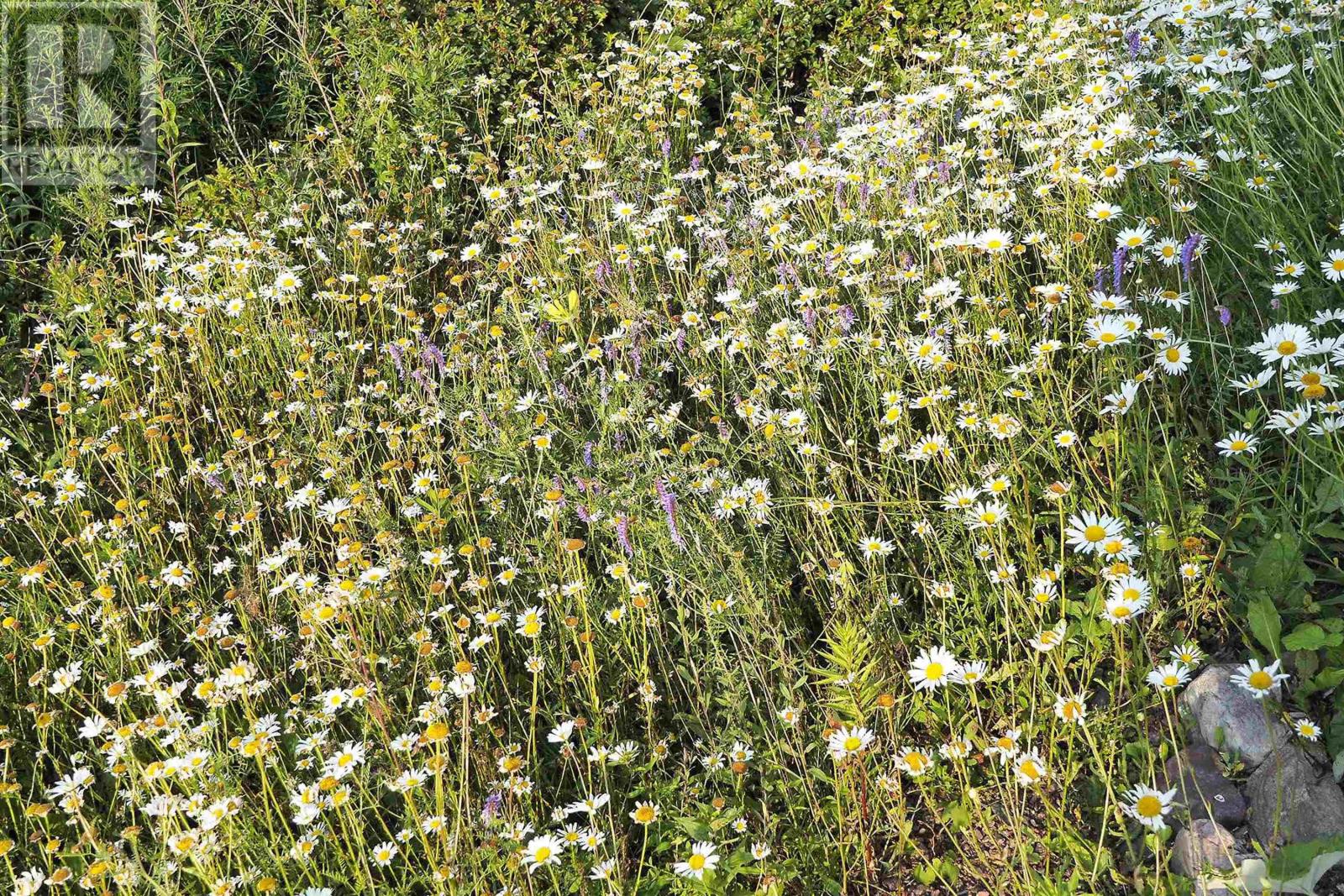 54 Ridgeview Lane, Greenhill, Nova Scotia  B0M 1S0 - Photo 41 - 202503582