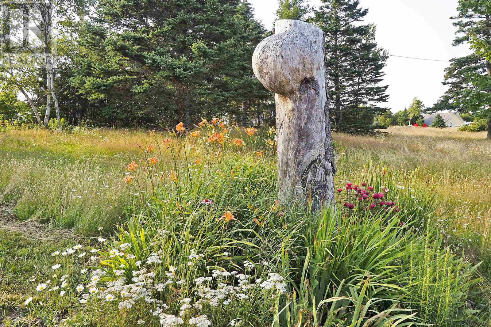 54 Ridgeview Lane, Greenhill, Nova Scotia  B0M 1S0 - Photo 42 - 202503582