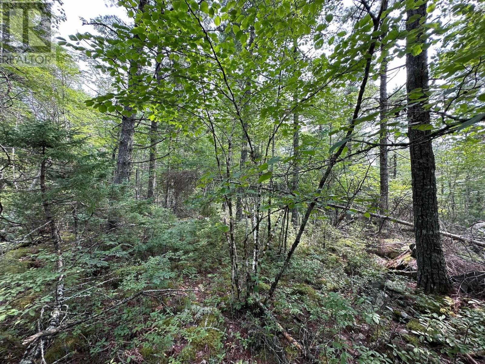Lot 14 Forest Close, Labelle, Nova Scotia  B0T 1E0 - Photo 3 - 202503595