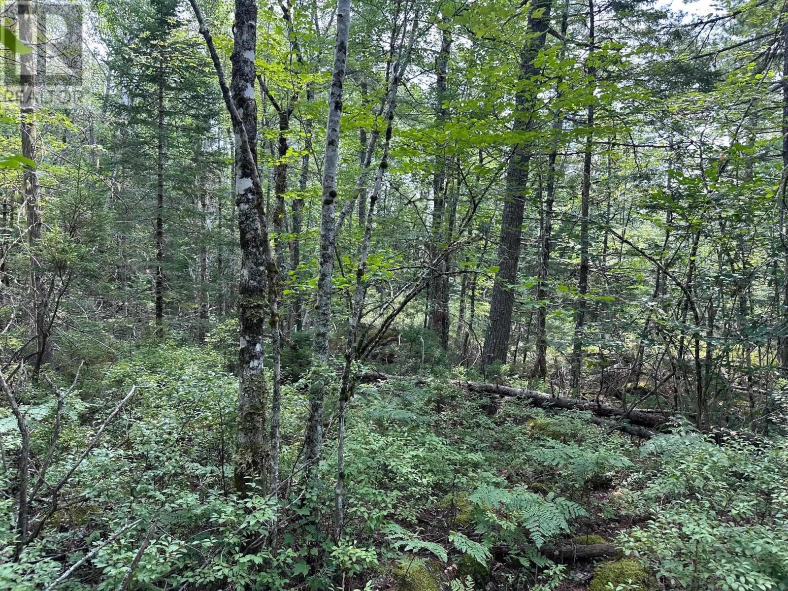 Lot 14 Forest Close, Labelle, Nova Scotia  B0T 1E0 - Photo 6 - 202503595