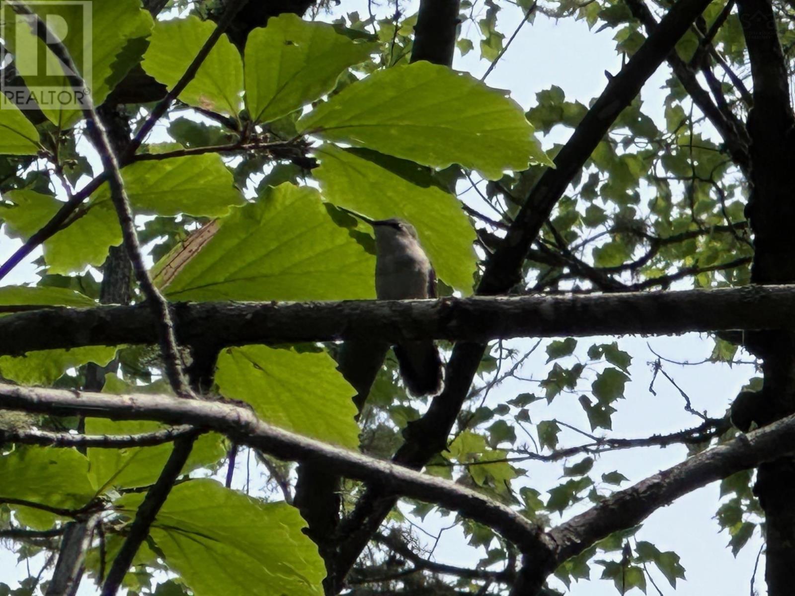 Lot 14 Forest Close, Labelle, Nova Scotia  B0T 1E0 - Photo 7 - 202503595