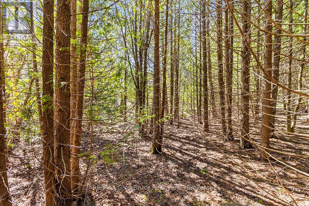 57 Maple Golf Crescent, Northern Bruce Peninsula, Ontario  N0H 2R0 - Photo 34 - X11956564