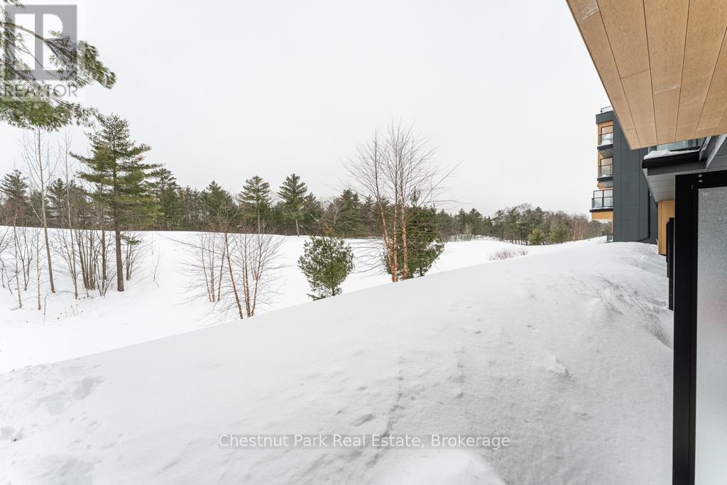 113 - 120 Carrick Trail, Gravenhurst, Ontario  P1P 0B6 - Photo 19 - X11988983