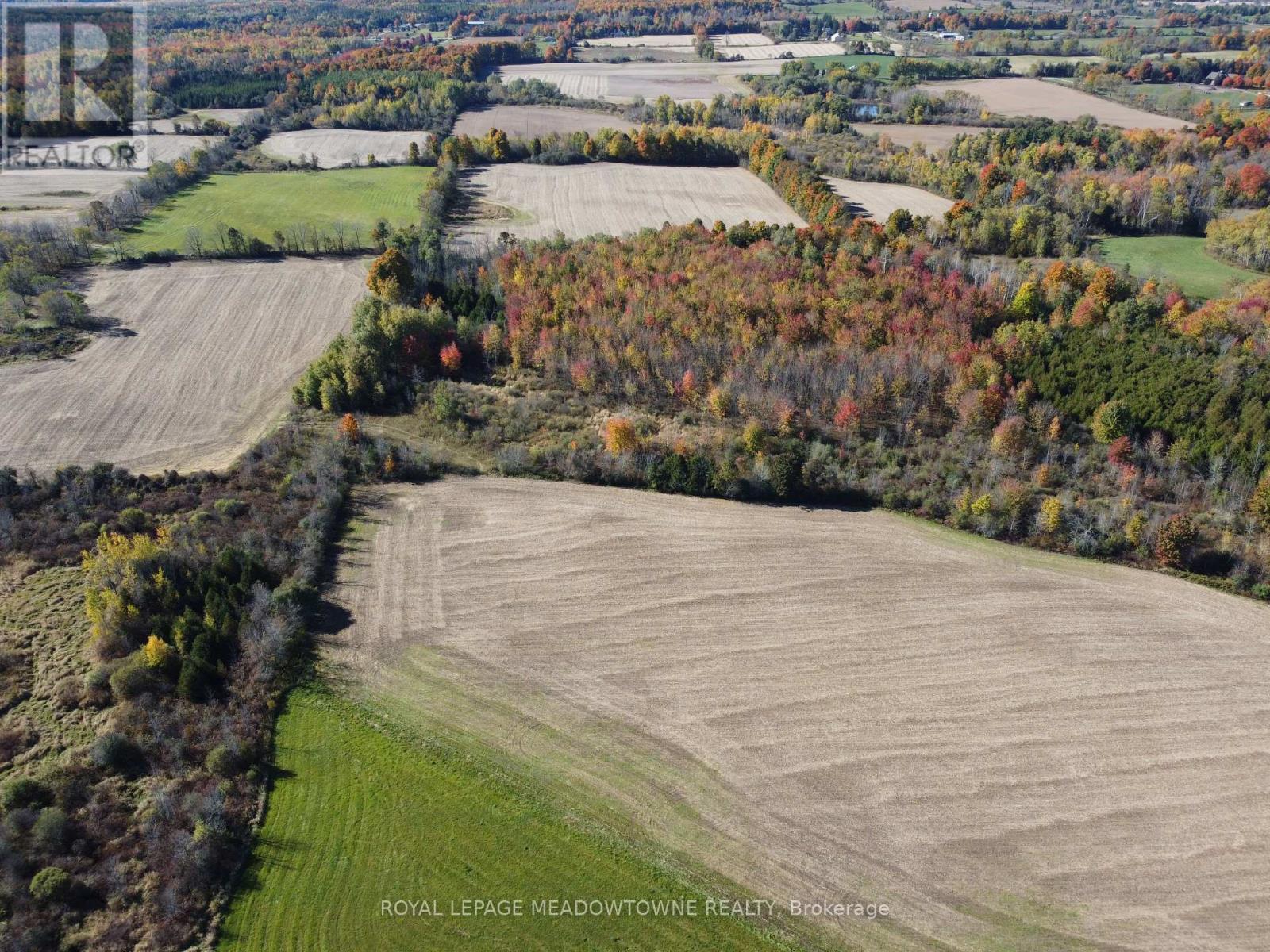 11080 First Line, Milton (Nassagaweya), Ontario  L0P 1J0 - Photo 7 - W11989044