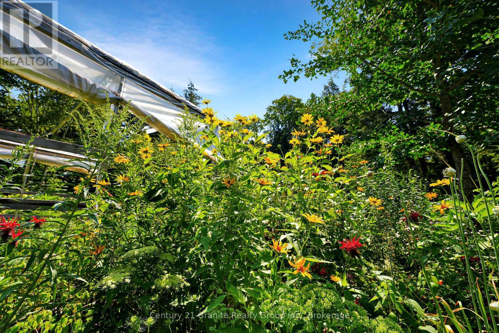 1842 Buckslide Road, Algonquin Highlands, Ontario  K0M 1J1 - Photo 24 - X11989364
