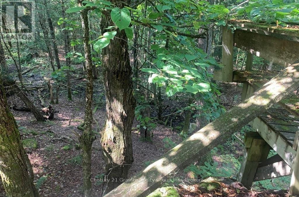 1842 Buckslide Road, Algonquin Highlands, Ontario  K0M 1J1 - Photo 32 - X11989364