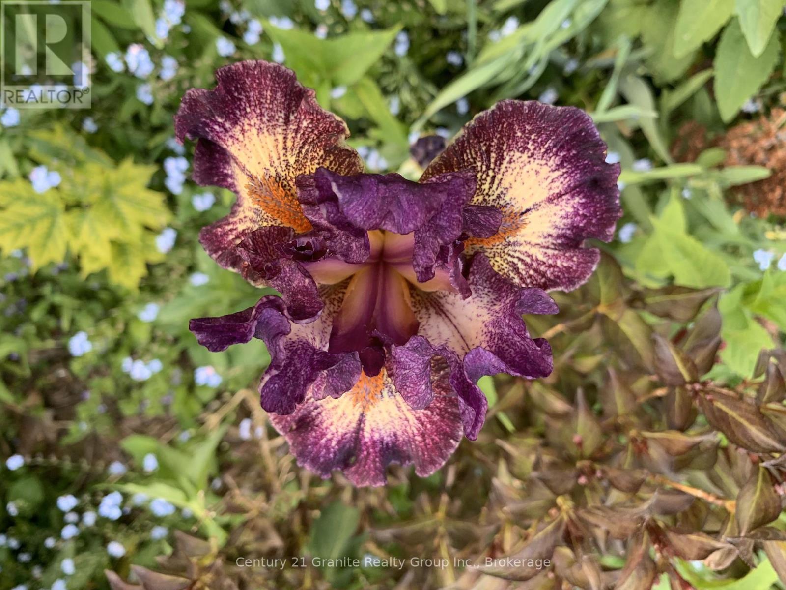 1842 Buckslide Road, Algonquin Highlands, Ontario  K0M 1J1 - Photo 33 - X11989364