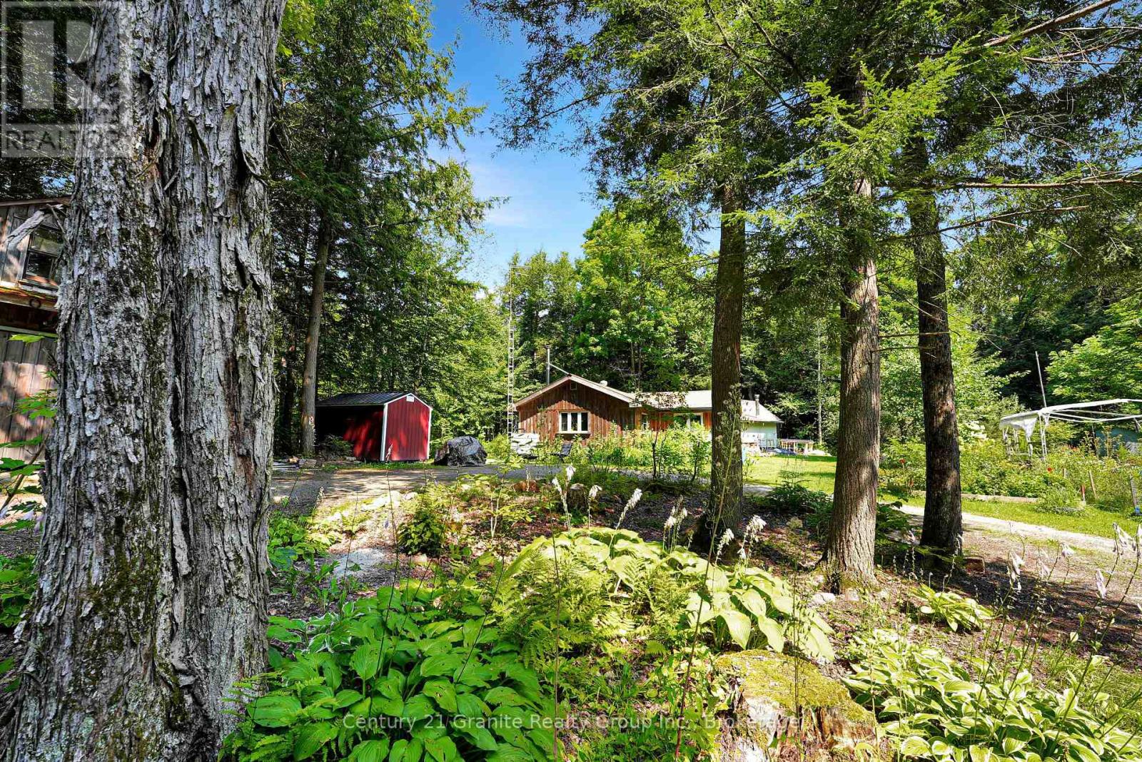 1842 Buckslide Road, Algonquin Highlands, Ontario  K0M 1J1 - Photo 9 - X11989364