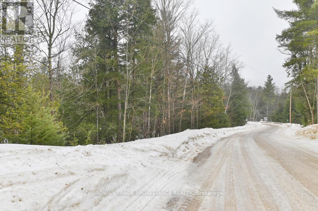 8 Clark Line Road, Addington Highlands, Ontario  K0H 1P0 - Photo 20 - X11989492