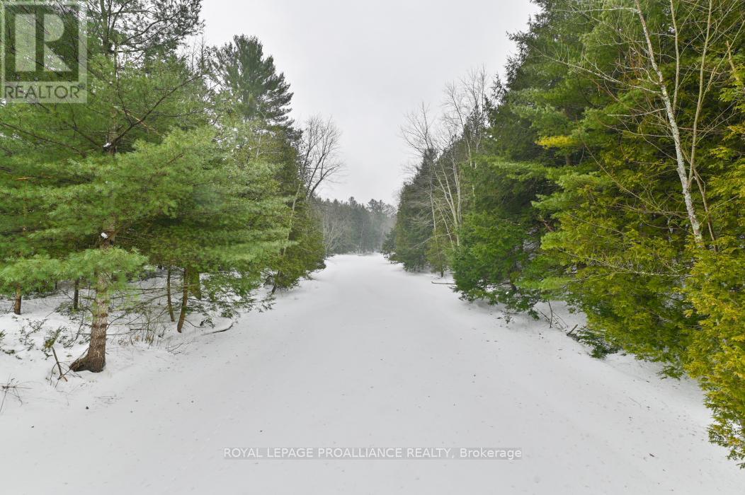 8 Clark Line Road, Addington Highlands, Ontario  K0H 1P0 - Photo 24 - X11989492