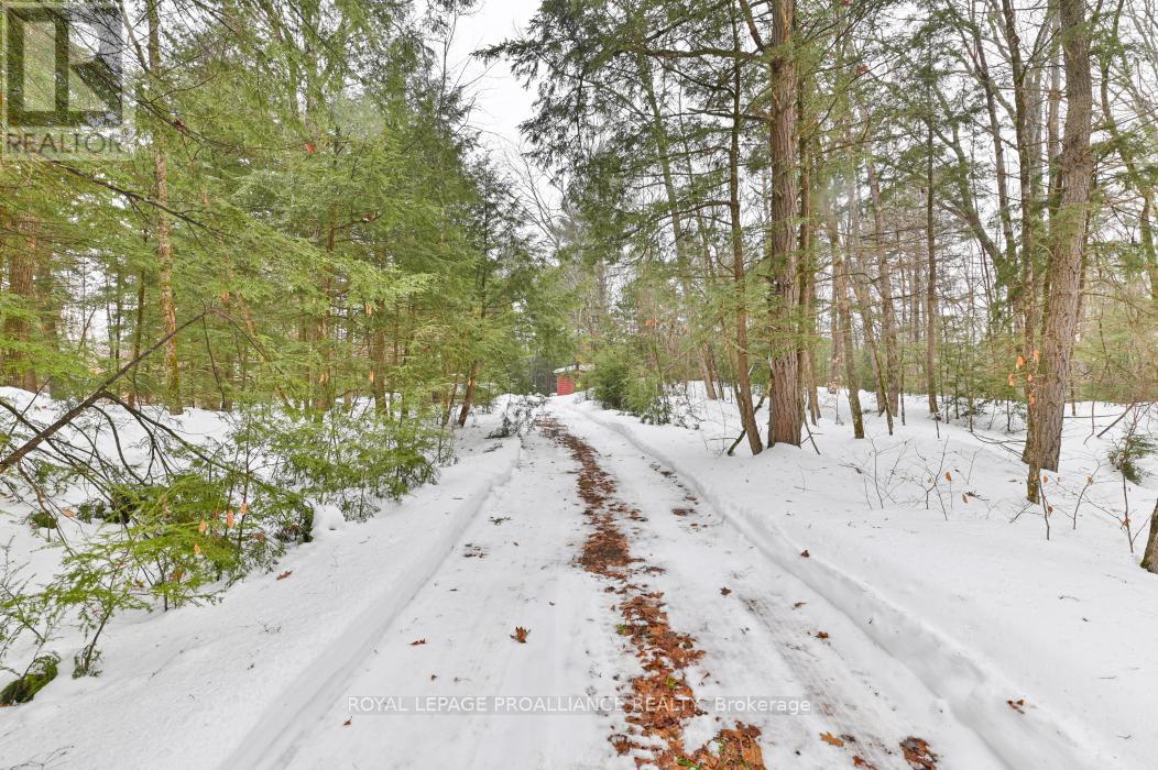 8 Clark Line Road, Addington Highlands, Ontario  K0H 1P0 - Photo 25 - X11989492