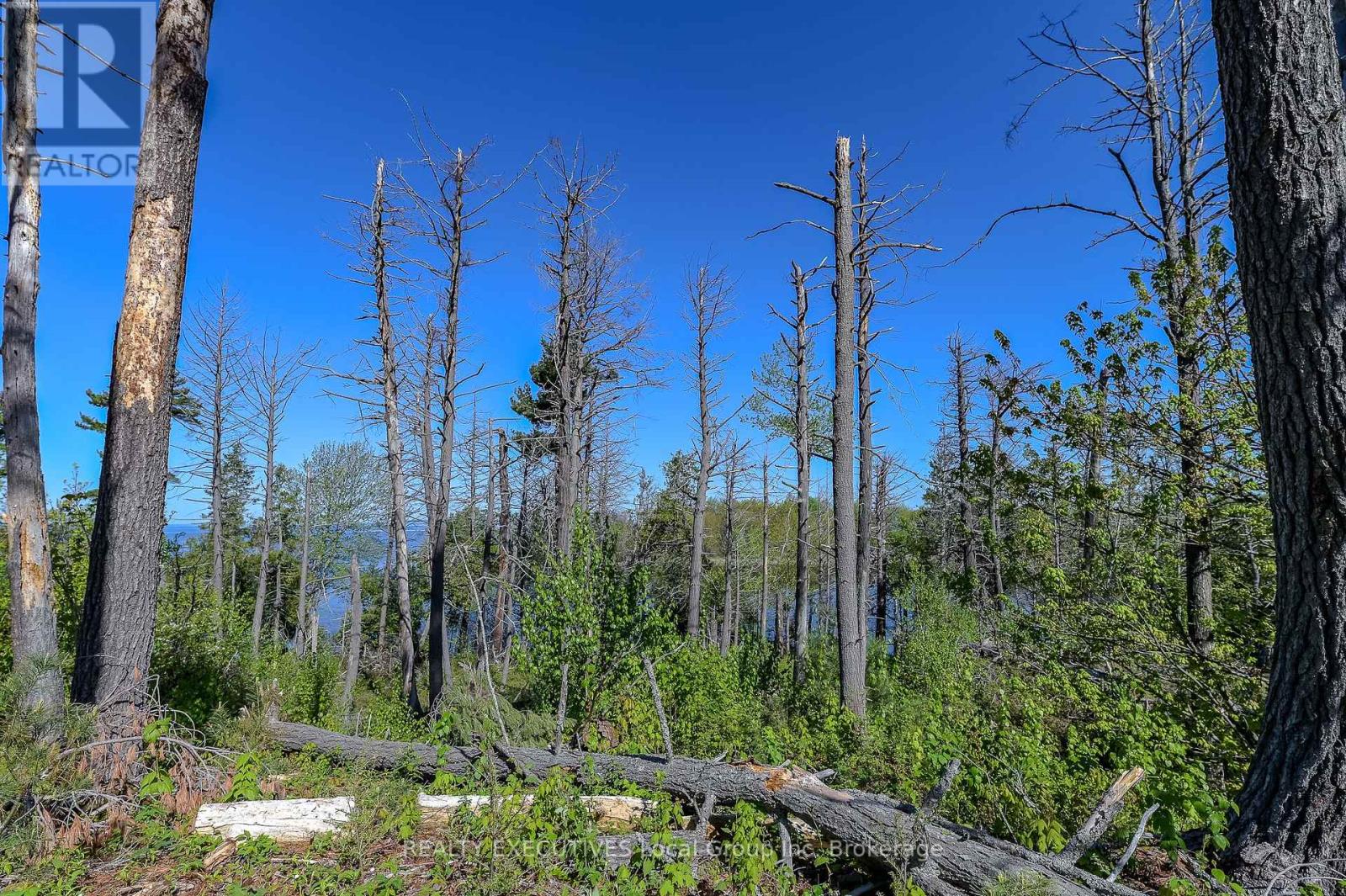 Lot 3 Grand Trunk Island, Callander, Ontario  P0H 1H0 - Photo 9 - X11989536
