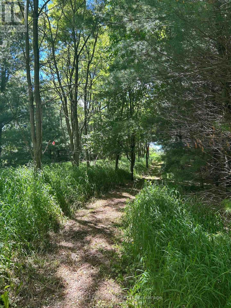 Lot 29 5th Line E, Mulmur, Ontario  L9V 0J8 - Photo 4 - X11989540
