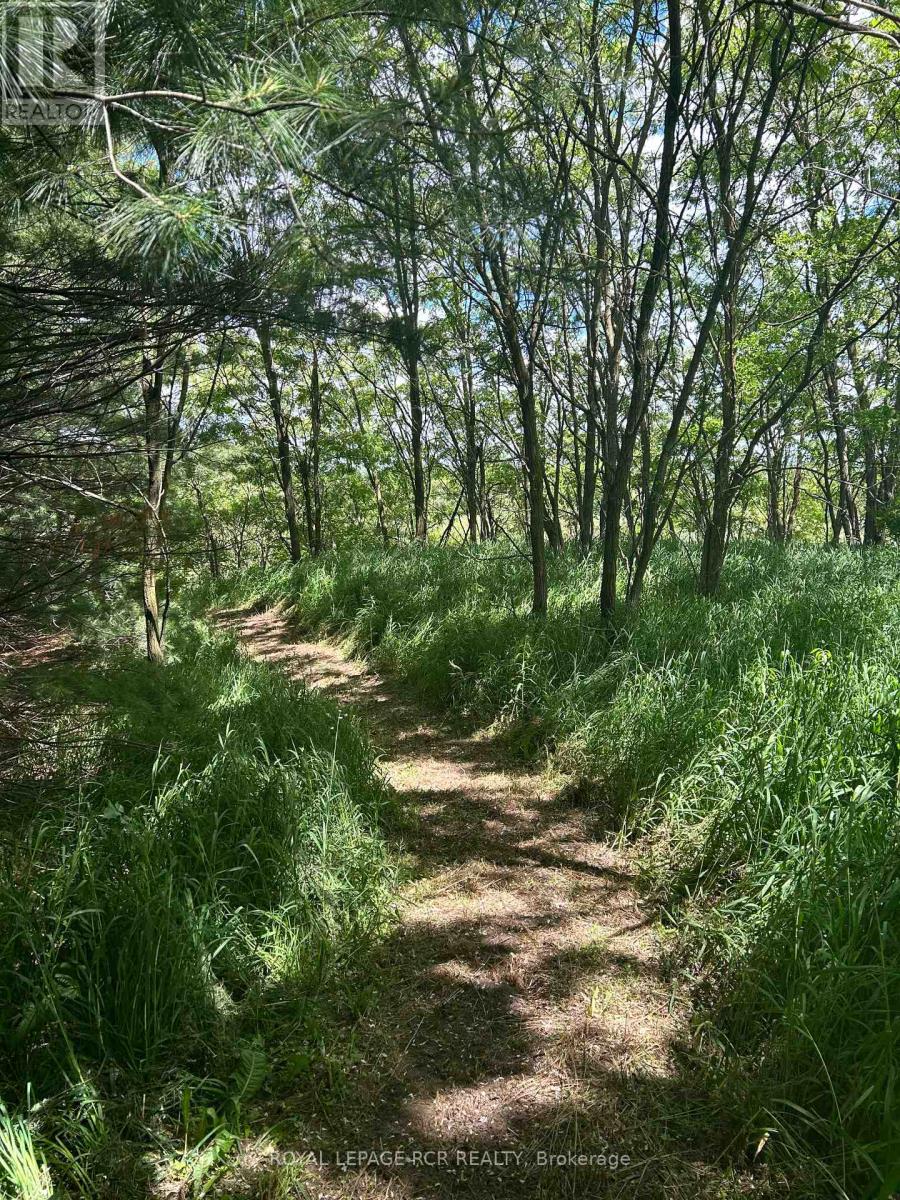 Lot 29 5th Line E, Mulmur, Ontario  L9V 0J8 - Photo 8 - X11989540