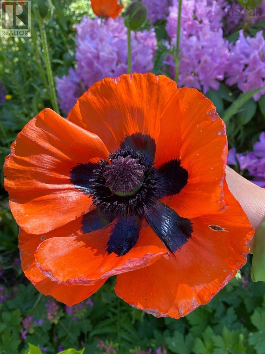 17 Vanier Way, Bedford, Nova Scotia  B4A 0A5 - Photo 46 - 202503621