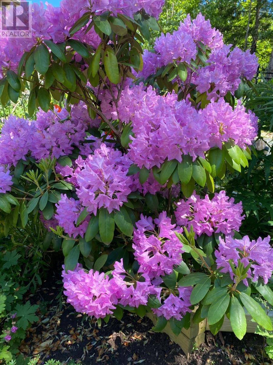 17 Vanier Way, Bedford, Nova Scotia  B4A 0A5 - Photo 48 - 202503621