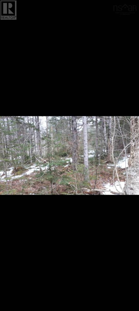 Lower Cross Road, Youngs Cove, Nova Scotia  B0S 1C0 - Photo 1 - 202503631