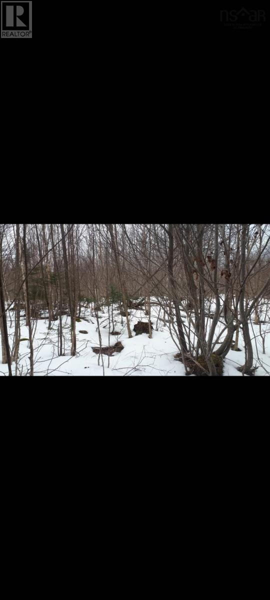 Lower Cross Road, Youngs Cove, Nova Scotia  B0S 1C0 - Photo 2 - 202503631