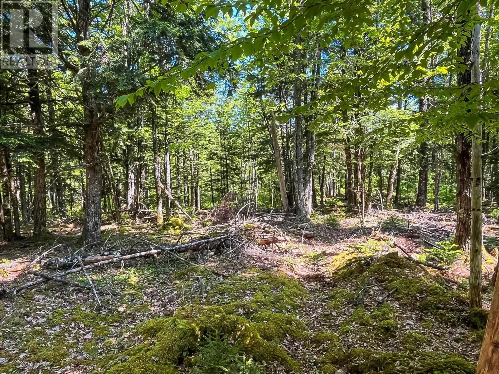 Lot 1000-3 Conquerall Road, conquerall bank, Nova Scotia