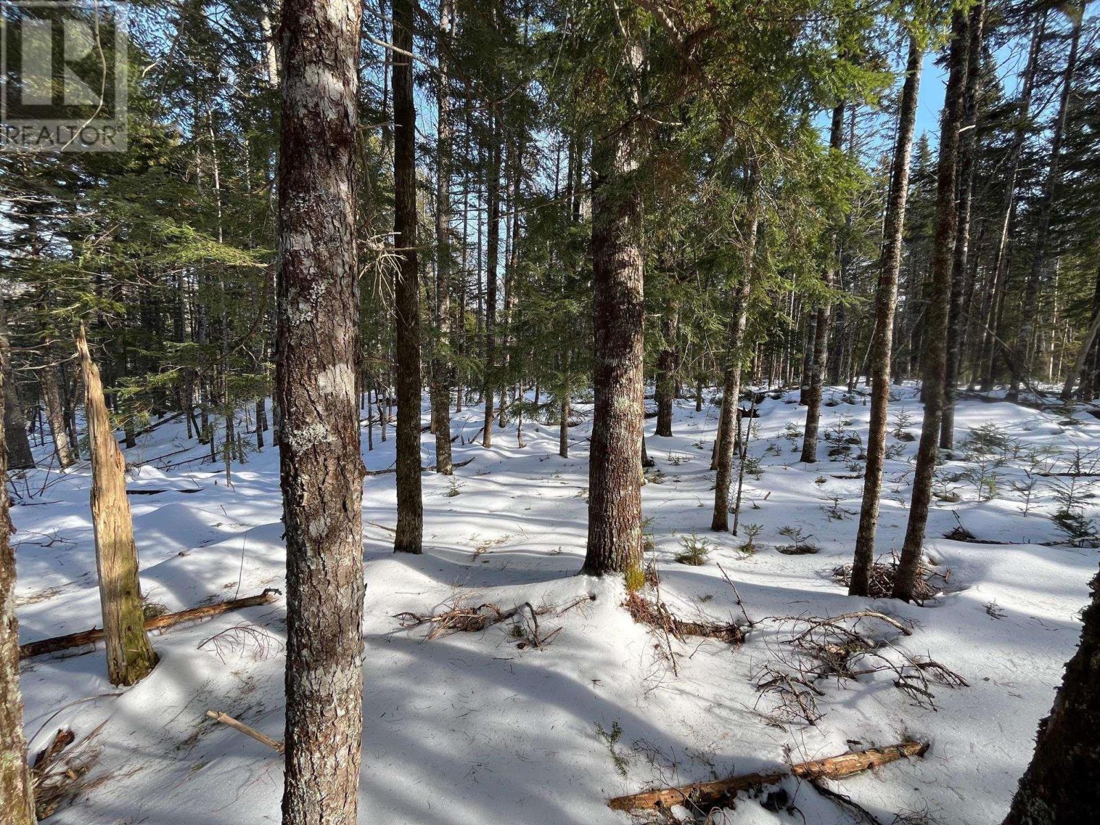 Lot 1000-3 Conquerall Road, Conquerall Bank, Nova Scotia  B0R 1G0 - Photo 10 - 202503633