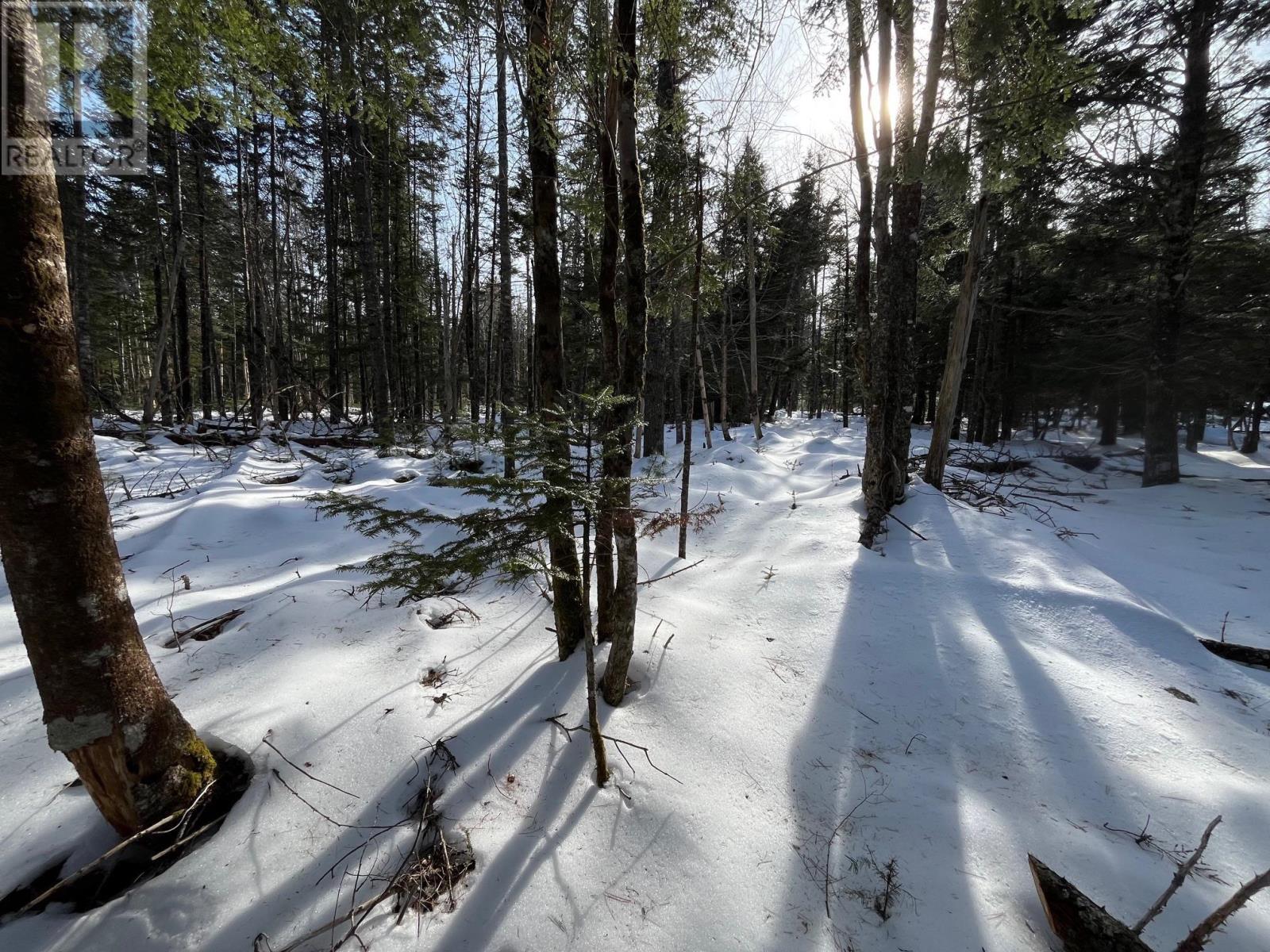 Lot 1000-3 Conquerall Road, Conquerall Bank, Nova Scotia  B0R 1G0 - Photo 11 - 202503633