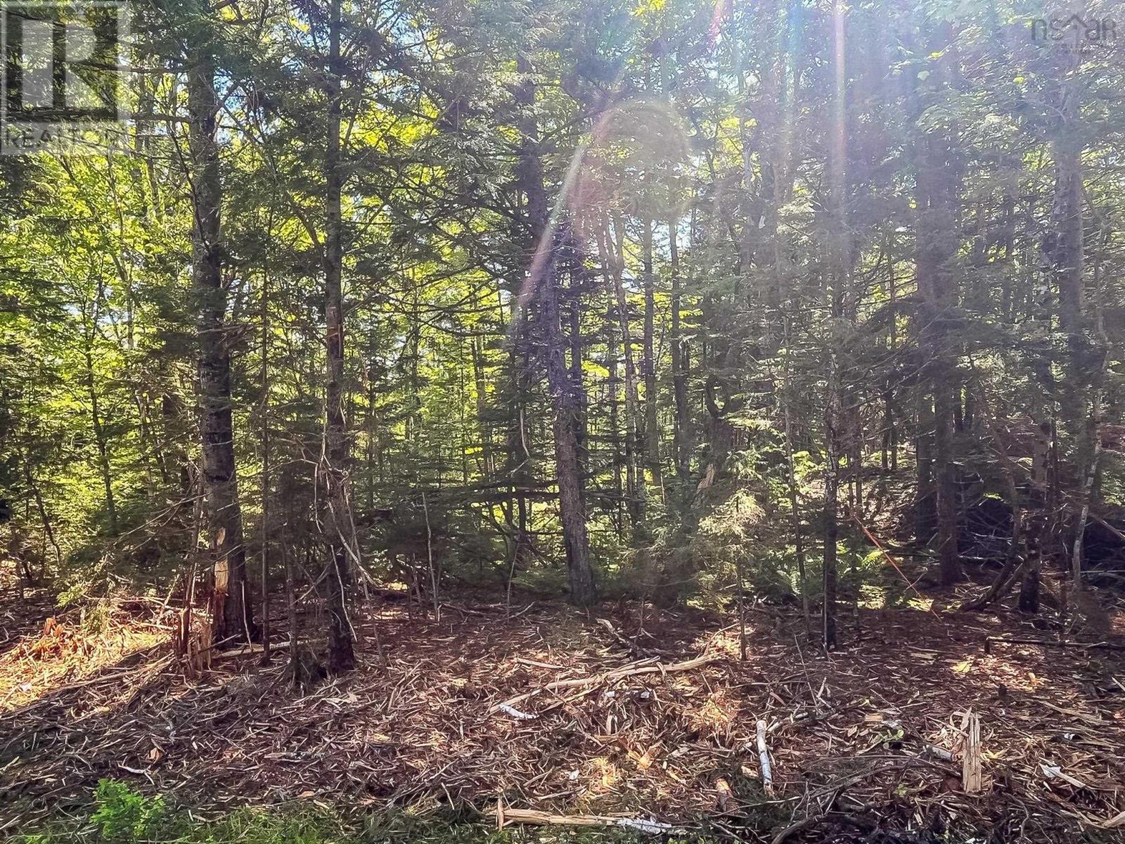 Lot 1000-3 Conquerall Road, Conquerall Bank, Nova Scotia  B0R 1G0 - Photo 6 - 202503633