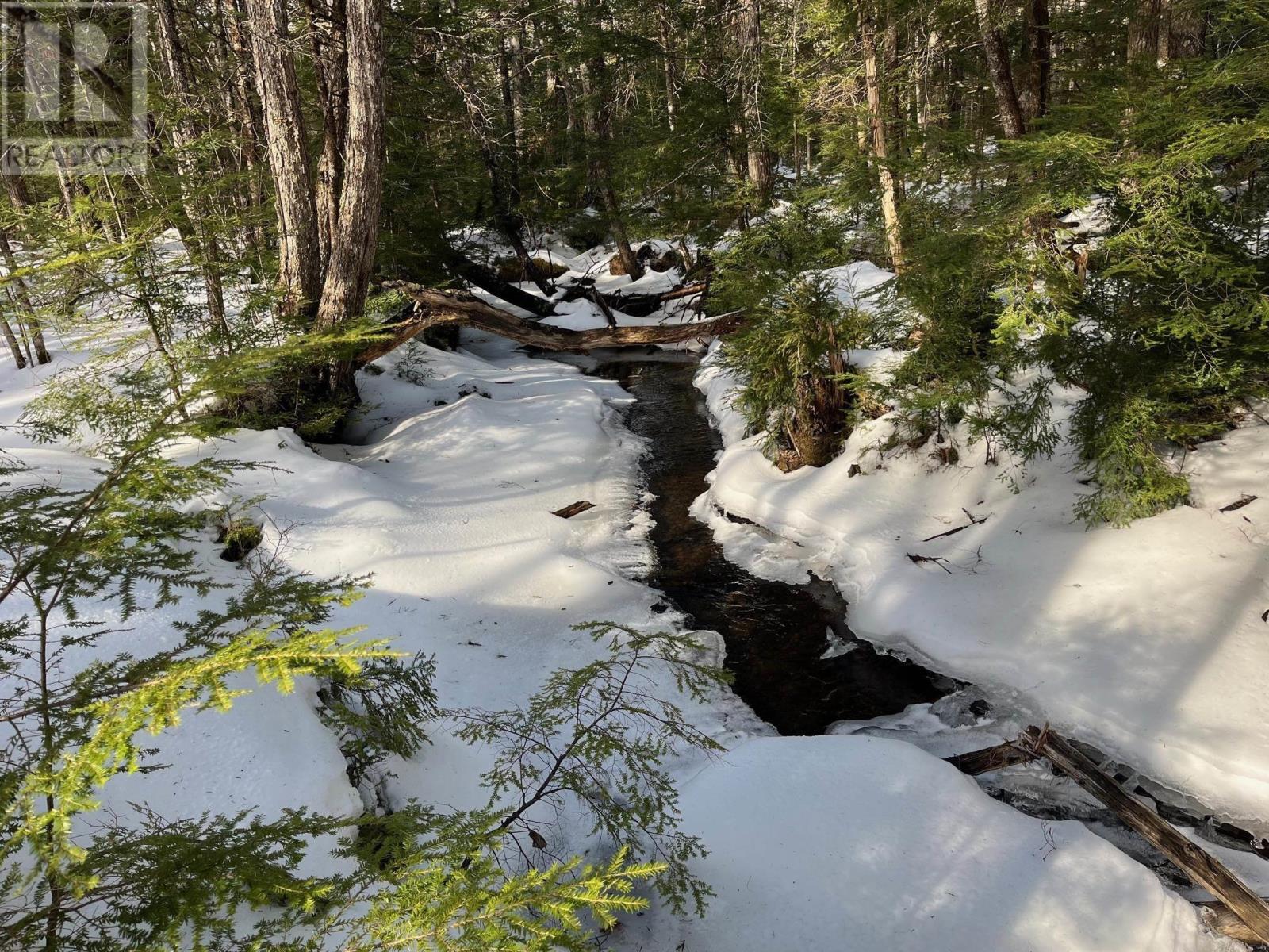 Lot 1000-3 Conquerall Road, Conquerall Bank, Nova Scotia  B0R 1G0 - Photo 9 - 202503633