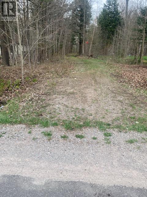 2442 Champlain Road, Tiny, Ontario  L9M 0C9 - Photo 25 - S11989627