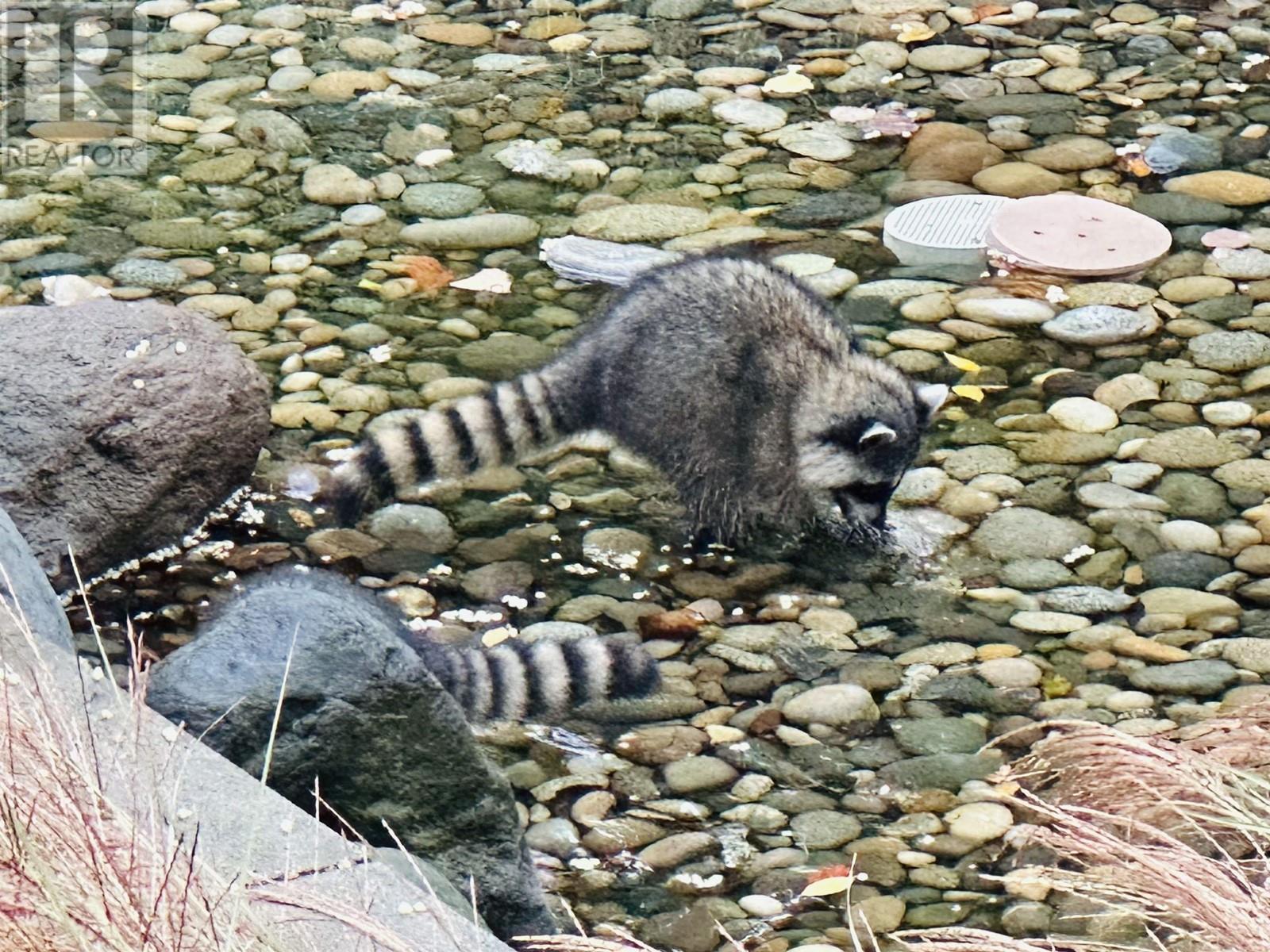 Listing Picture 5 of 5 : 307 6333 LARKIN DRIVE, Vancouver / 溫哥華 - 魯藝地產 Yvonne Lu Group - MLS Medallion Club Member