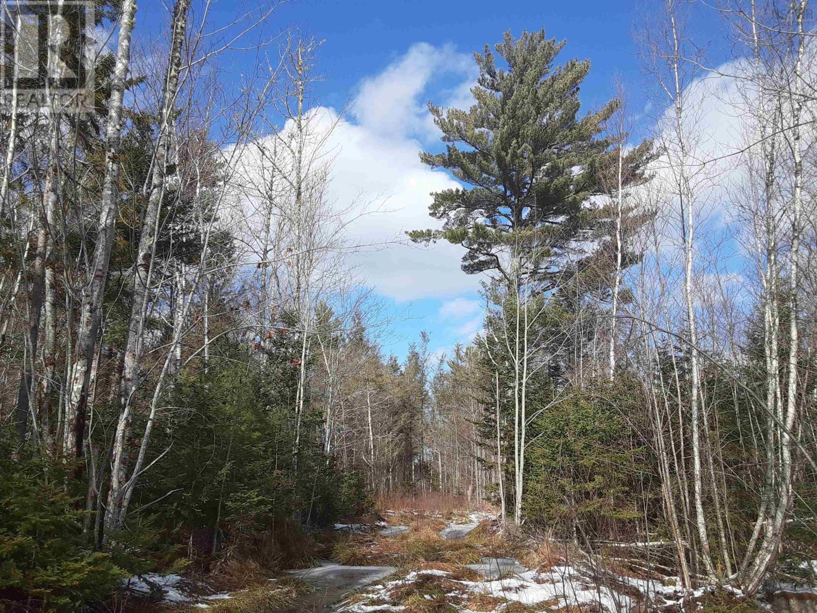 Lot PID30143853 Parker Road|PID#30143853, bear river, Nova Scotia