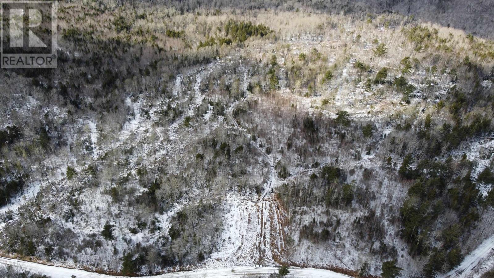 Lot Pid30143853 Parker Road, Pid#30143853, Bear River, Nova Scotia  B0S 1B0 - Photo 2 - 202503643