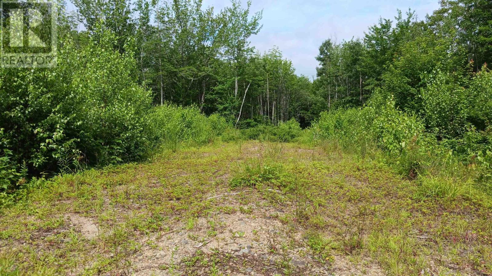 Lot Pid30143853 Parker Road, Pid#30143853, Bear River, Nova Scotia  B0S 1B0 - Photo 5 - 202503643