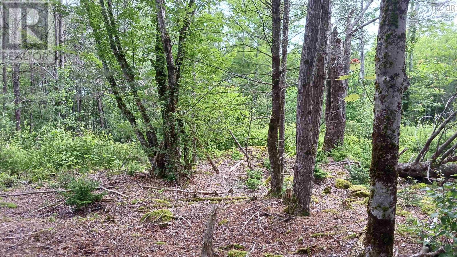 Lot Pid30143853 Parker Road, Pid#30143853, Bear River, Nova Scotia  B0S 1B0 - Photo 6 - 202503643