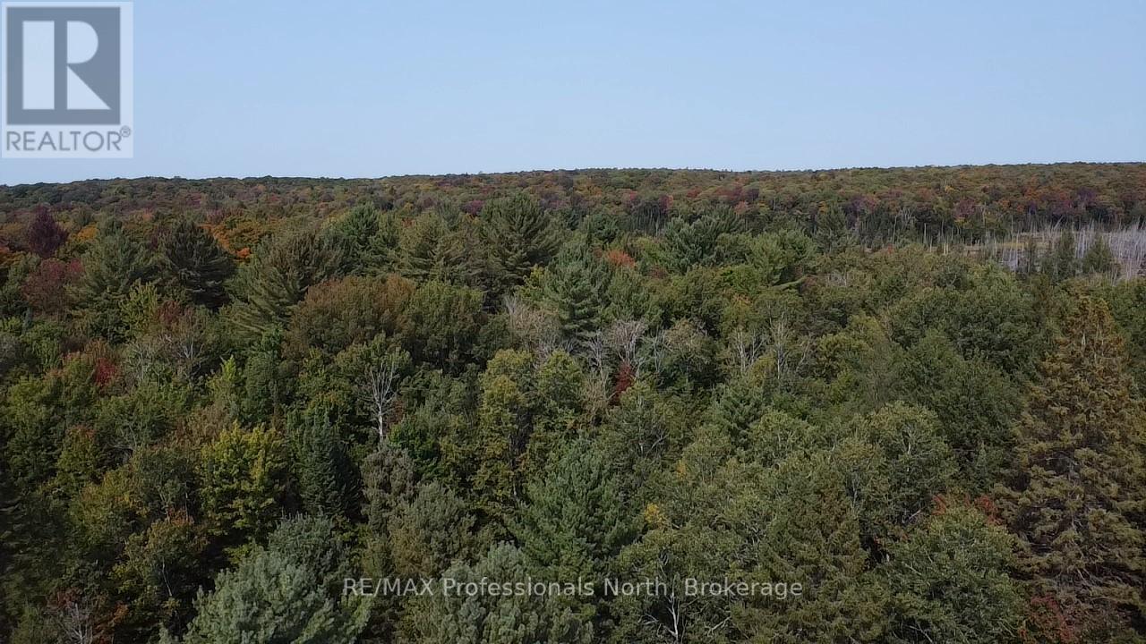 300 Concession 2&3 Road W, Huntsville, Ontario  P1H 2L5 - Photo 37 - X11990115