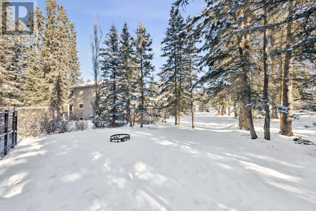 97 Manyhorses Drive, Rural Rocky View County, Alberta  T3Z 1A1 - Photo 35 - A2194349