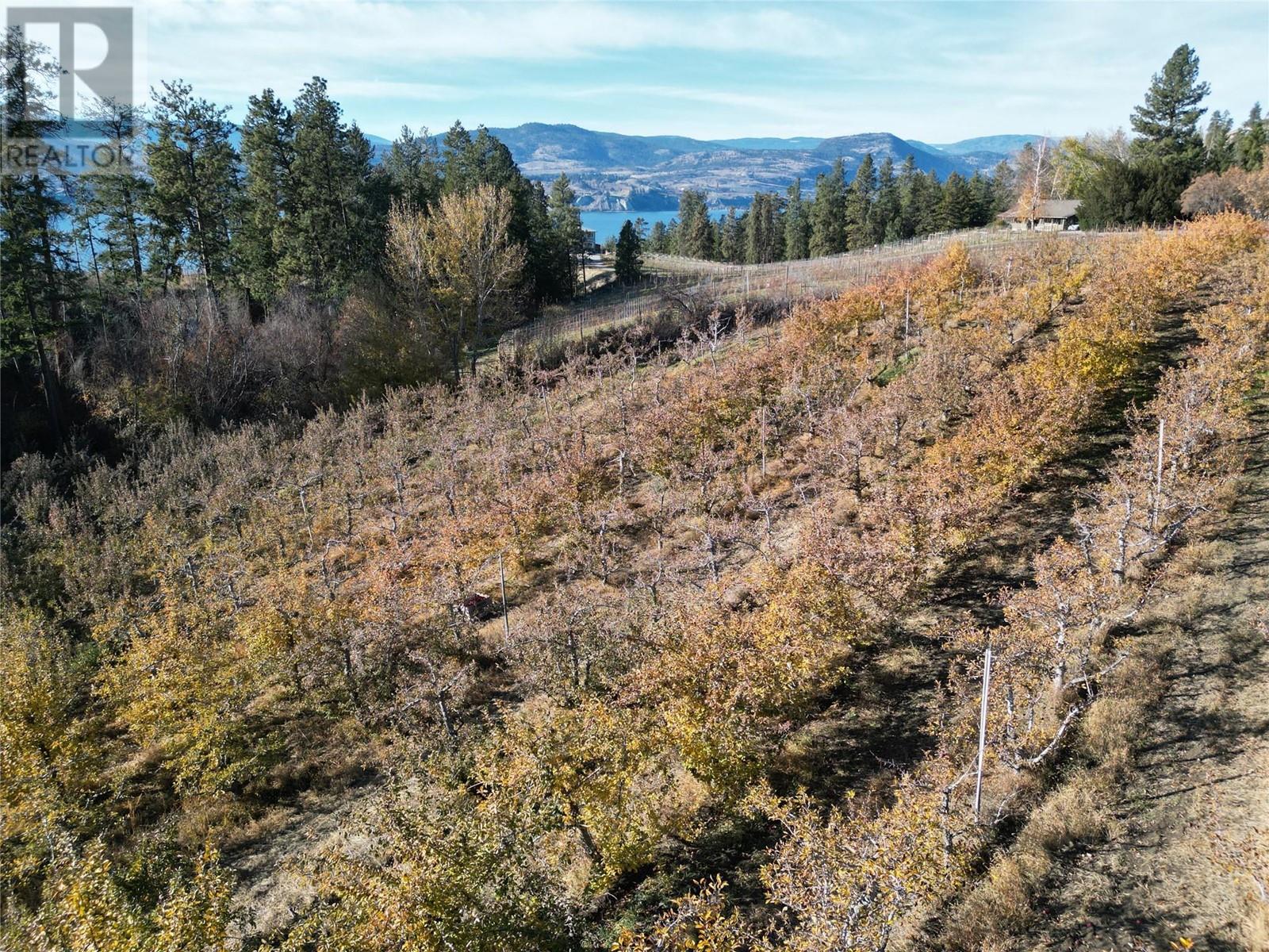 Property at 4855 North Naramata Road image 4