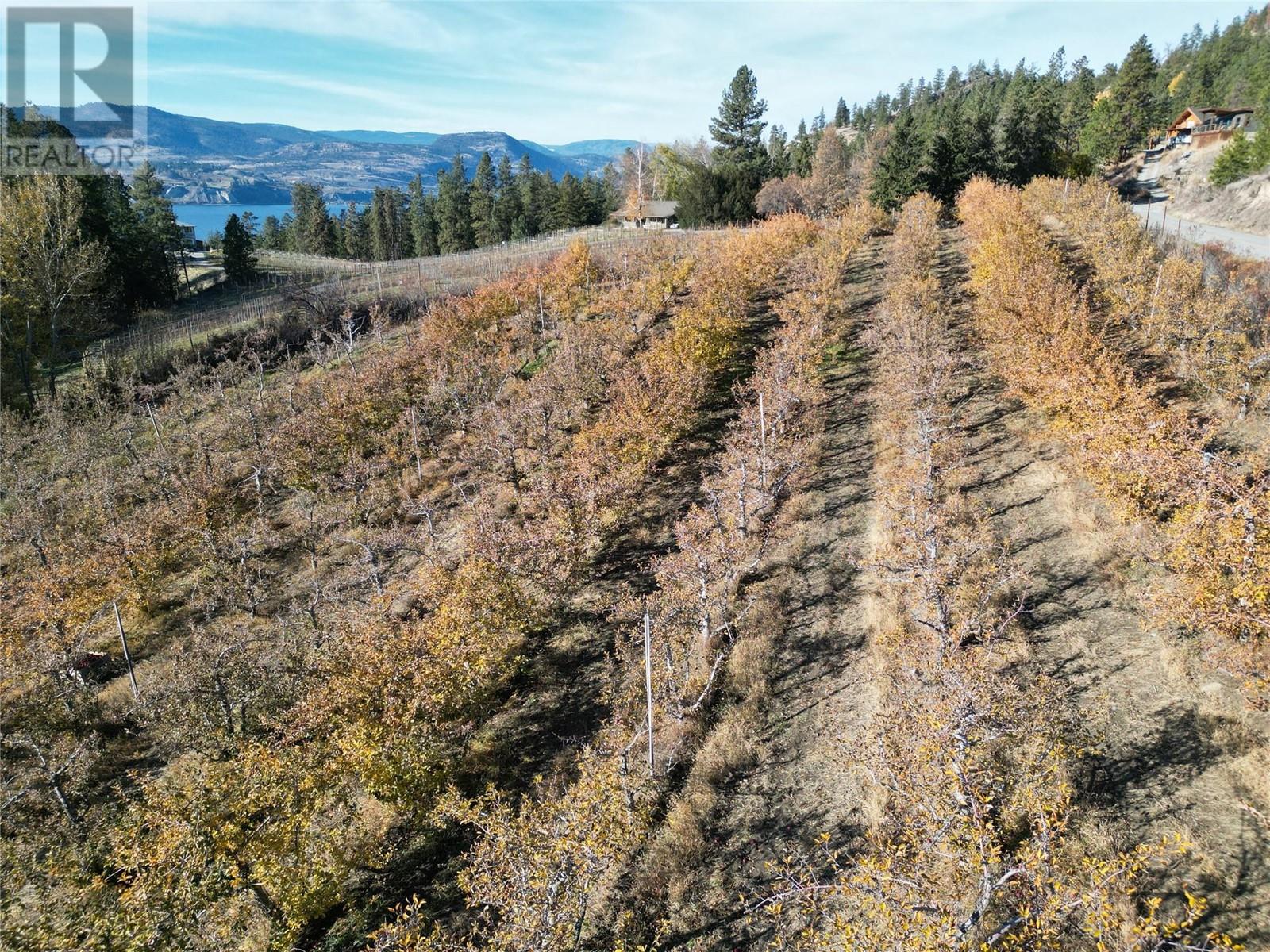 Property at 4855 North Naramata Road image 5