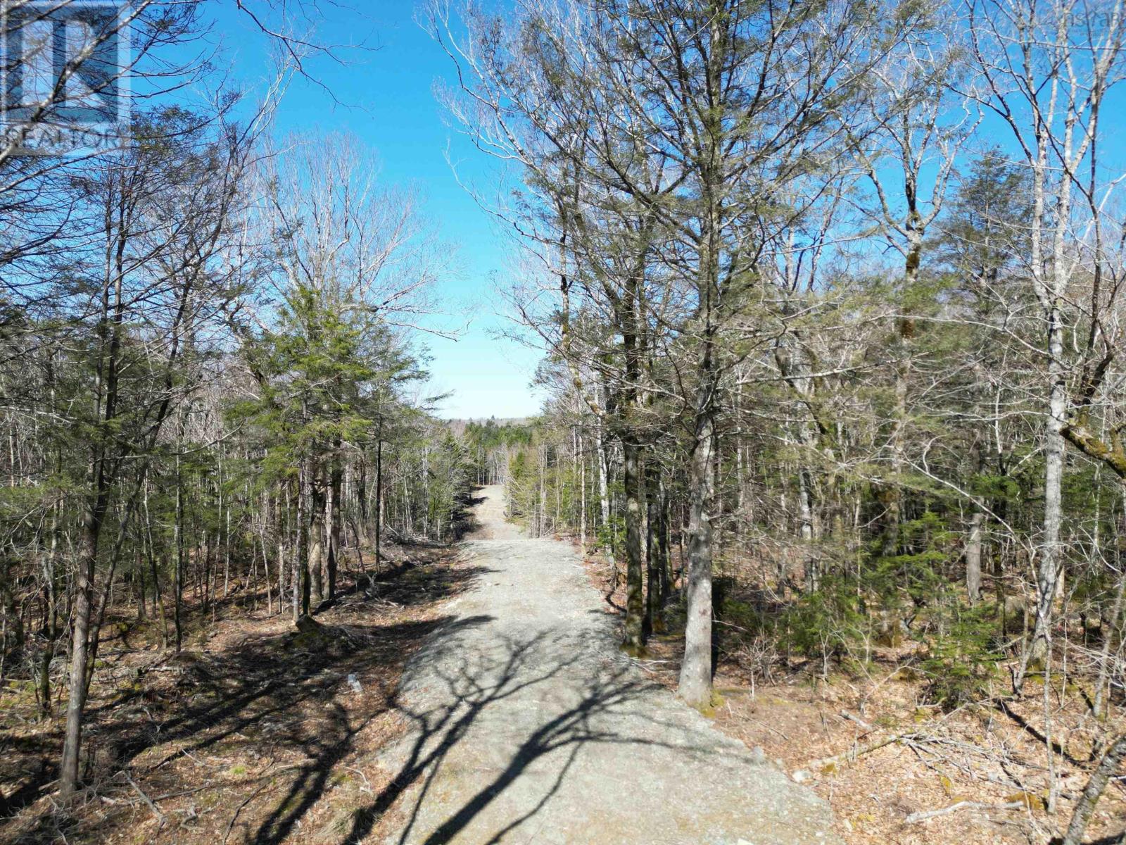 Lot Second Division Road, Margo, Nova Scotia  B0W 1M0 - Photo 11 - 202408601