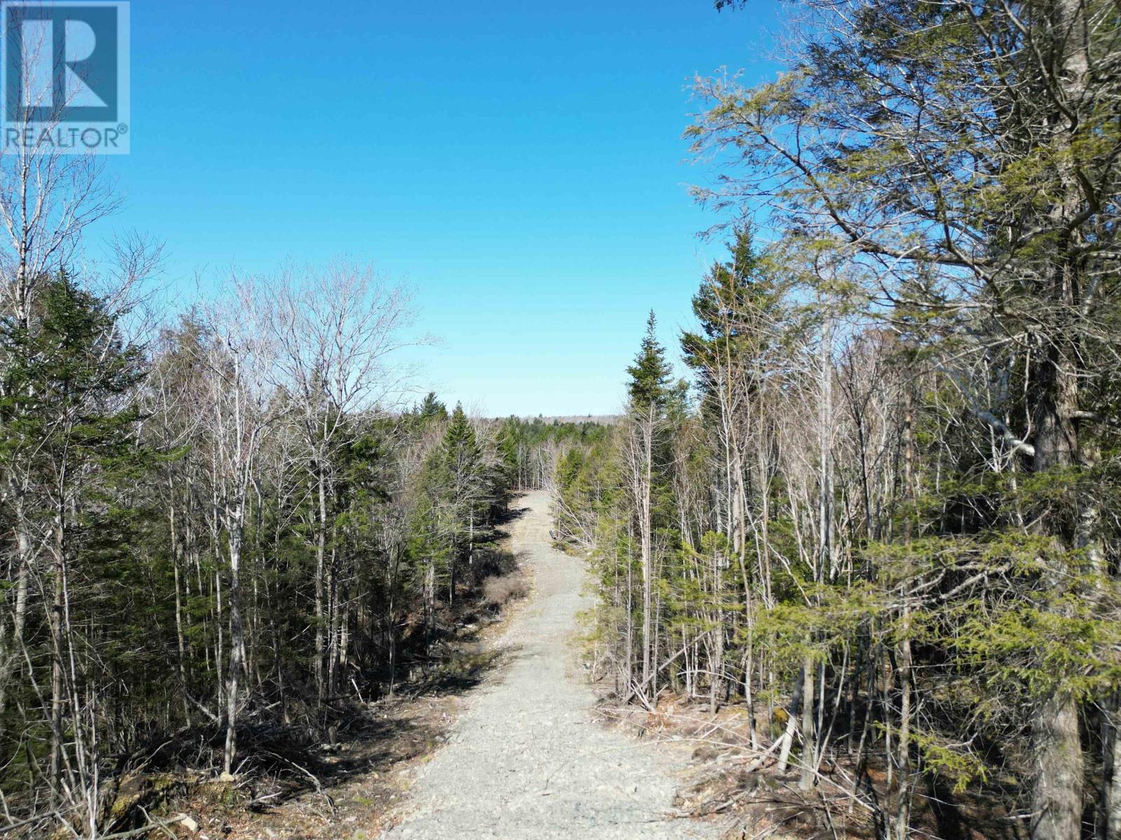 Lot Second Division Road, Margo, Nova Scotia  B0W 1M0 - Photo 12 - 202408601