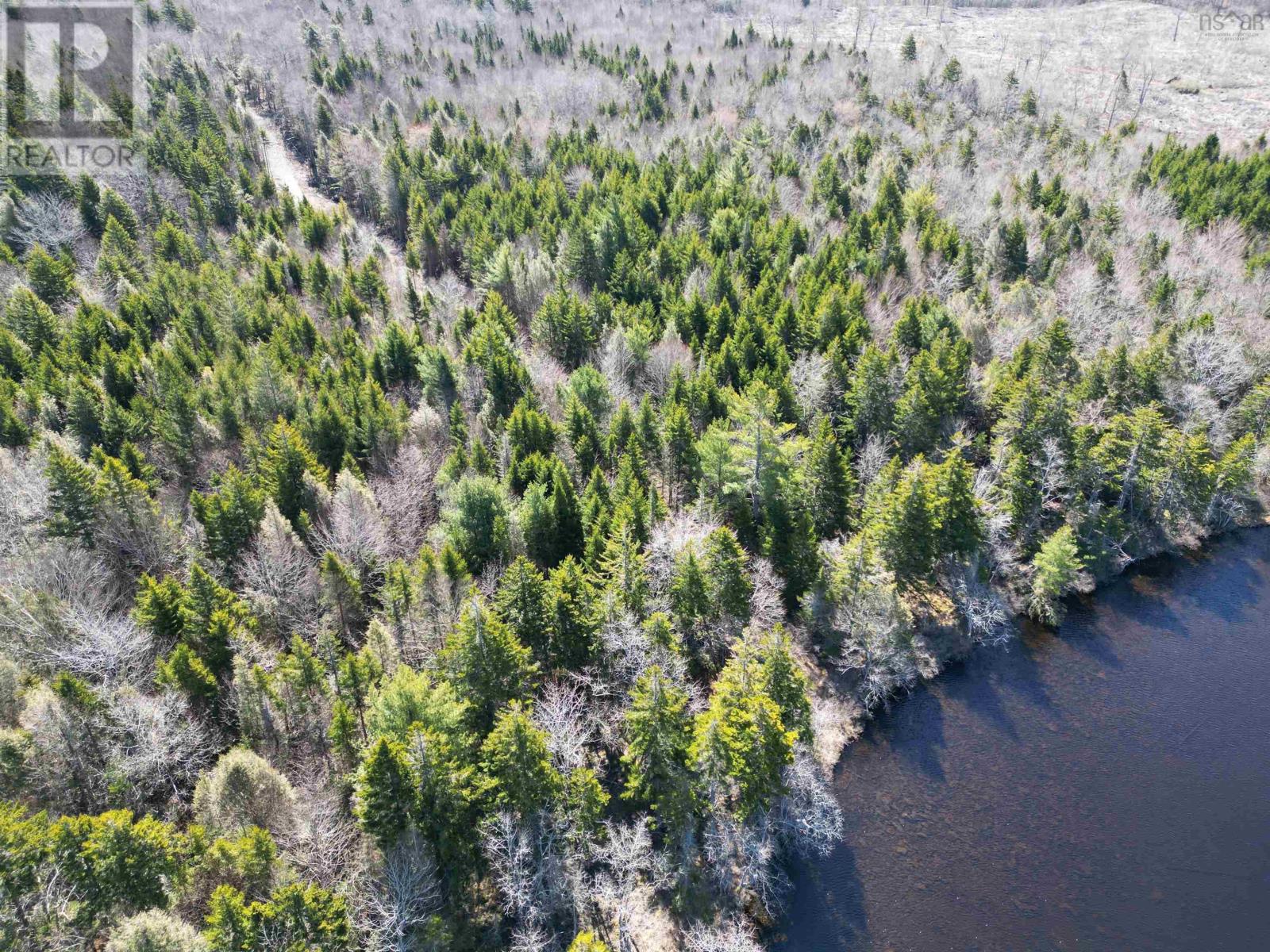 Lot Second Division Road, Margo, Nova Scotia  B0W 1M0 - Photo 14 - 202408601