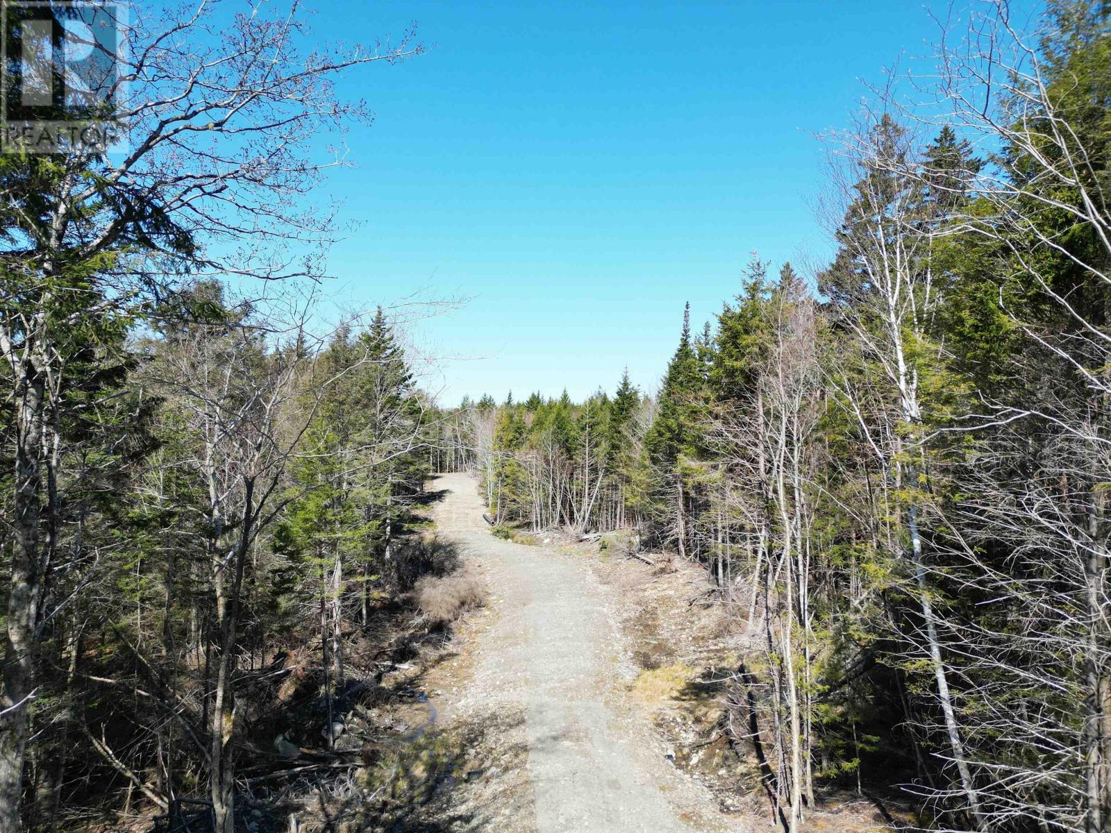 Lot Second Division Road, Margo, Nova Scotia  B0W 1M0 - Photo 15 - 202408601