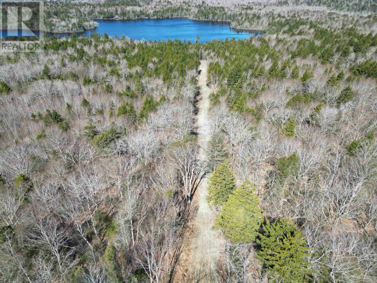 Lot Second Division Road, Margo, Nova Scotia  B0W 1M0 - Photo 16 - 202408601