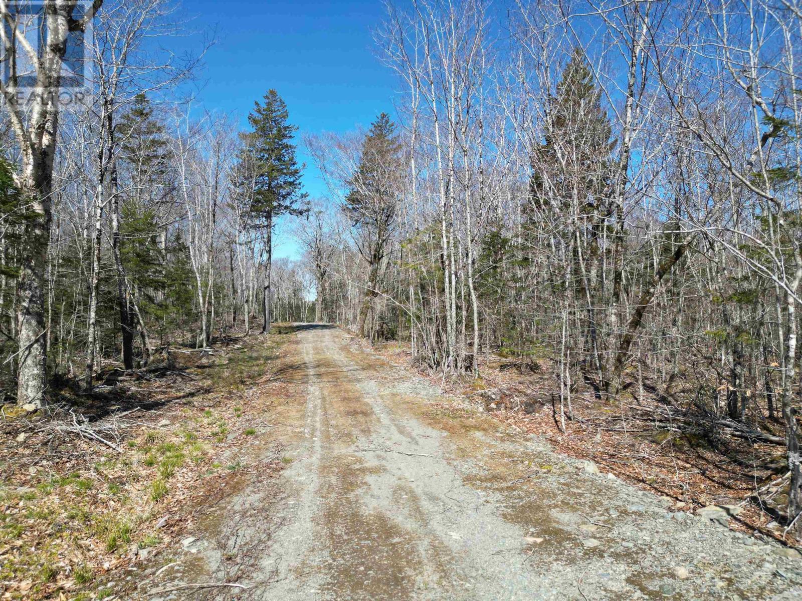 Lot Second Division Road, Margo, Nova Scotia  B0W 1M0 - Photo 18 - 202408601