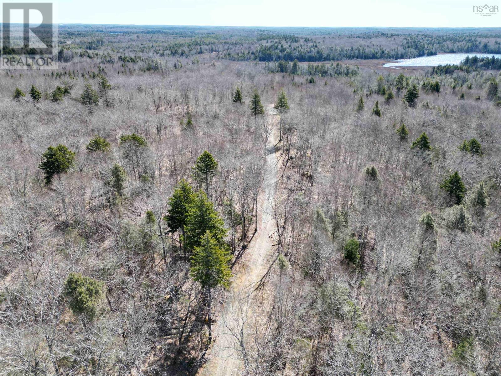 Lot Second Division Road, Margo, Nova Scotia  B0W 1M0 - Photo 21 - 202408601