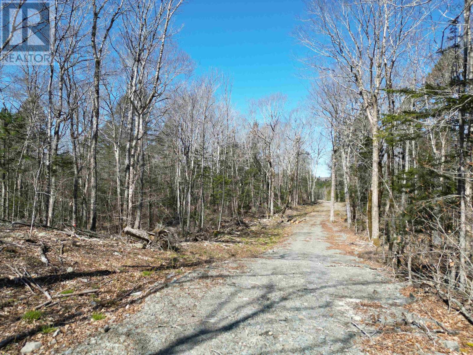 Lot Second Division Road, Margo, Nova Scotia  B0W 1M0 - Photo 4 - 202408601