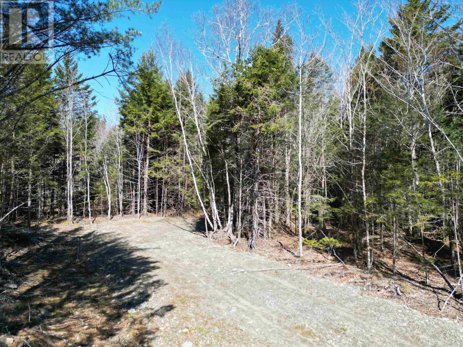 Lot Second Division Road, Margo, Nova Scotia  B0W 1M0 - Photo 5 - 202408601