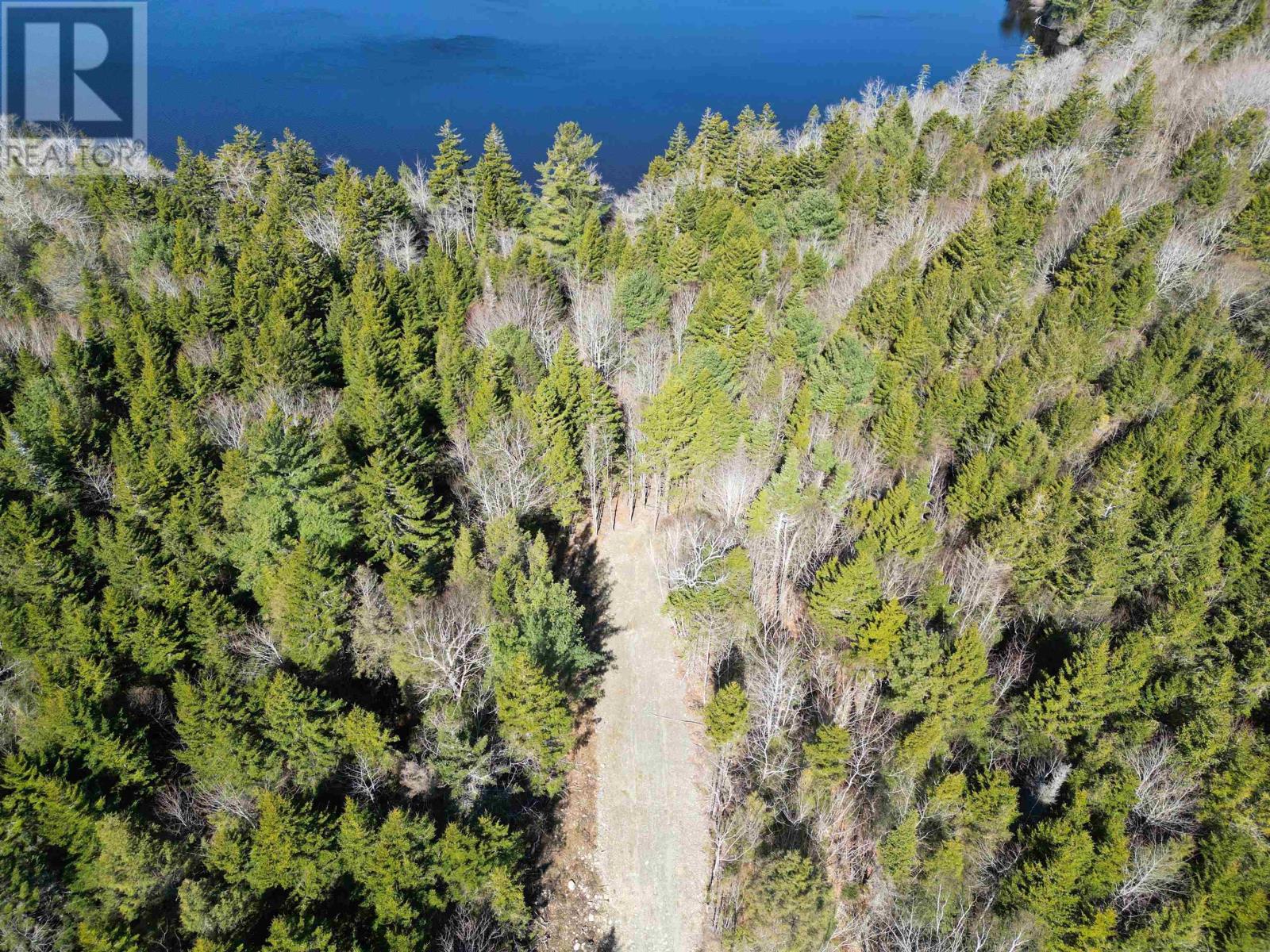 Lot Second Division Road, Margo, Nova Scotia  B0W 1M0 - Photo 8 - 202408601