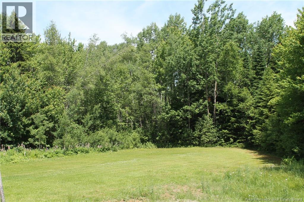 282 Bridge Street, Chipman, New Brunswick  E4A 1S1 - Photo 44 - NB113188