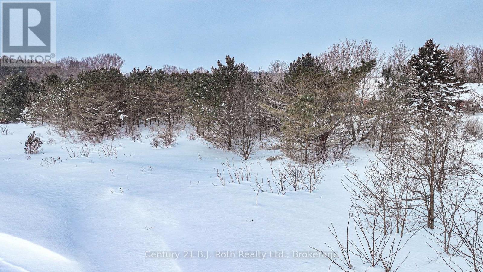 Lot 6 Rue Eric Street, Tiny, Ontario  L9M 0H1 - Photo 5 - S11990767